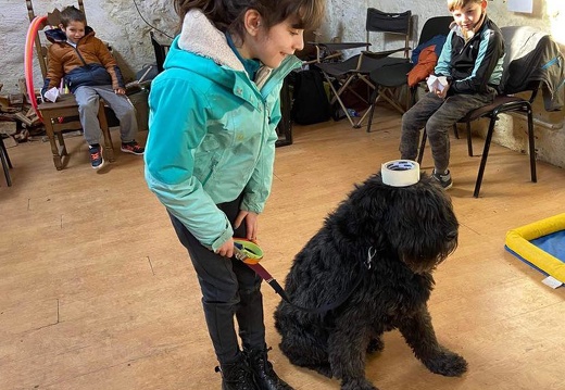 Stage carnaval 2023, les enfants et les chiens