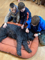 Stage carnaval 2023, les enfants et les chiens