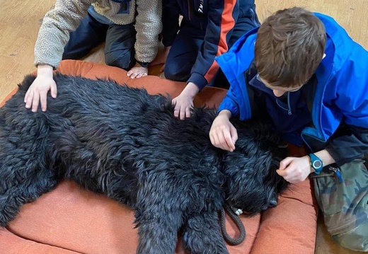 Stage carnaval 2023, les enfants et les chiens