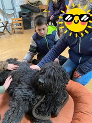 Stage carnaval 2023, les enfants et les chiens