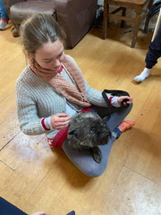 Stage carnaval 2023, les enfants et les chiens