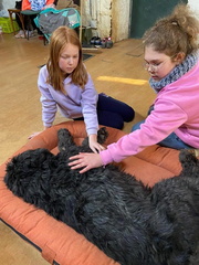 Stage carnaval 2023, les enfants et les chiens
