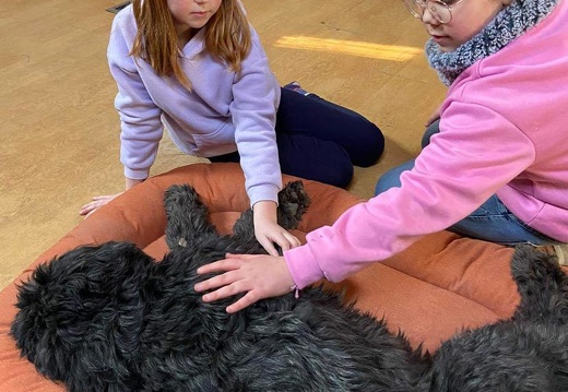 Stage carnaval 2023, les enfants et les chiens