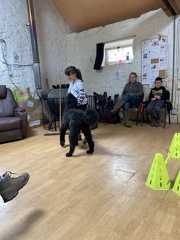 Stage mai 2023, les enfants et les chiens