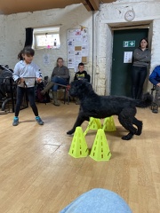 Stage mai 2023, les enfants et les chiens