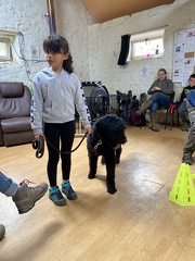 Stage mai 2023, les enfants et les chiens
