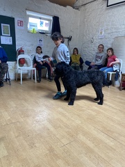 Stage mai 2023, les enfants et les chiens