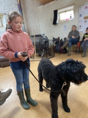 Stage mai 2023, les enfants et les chiens
