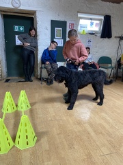 Stage mai 2023, les enfants et les chiens