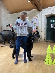 Stage mai 2023, les enfants et les chiens