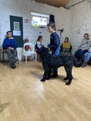 Stage mai 2023, les enfants et les chiens