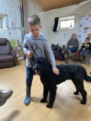 Stage mai 2023, les enfants et les chiens