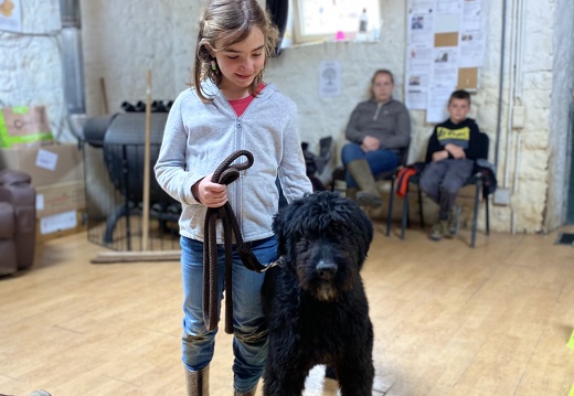 Stage mai 2023, les enfants et les chiens