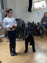 Stage mai 2023, les enfants et les chiens