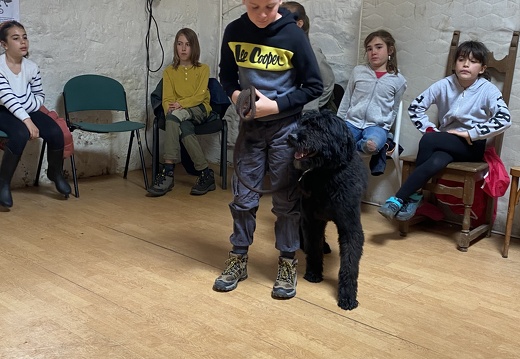 Stage mai 2023, les enfants et les chiens