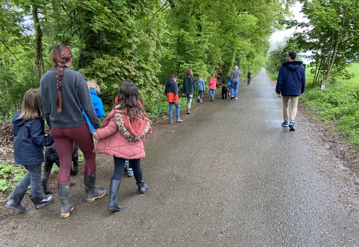 Stage mai 2023, les enfants et les chiens