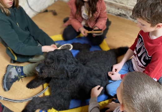 Stage mai 2023, les enfants et les chiens