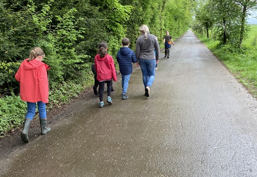 Stage mai 2023, les enfants et les chiens