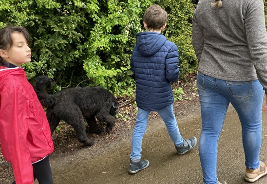 Stage mai 2023, les enfants et les chiens