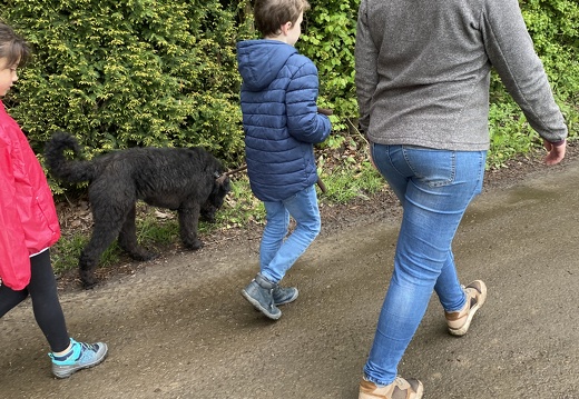 Stage mai 2023, les enfants et les chiens