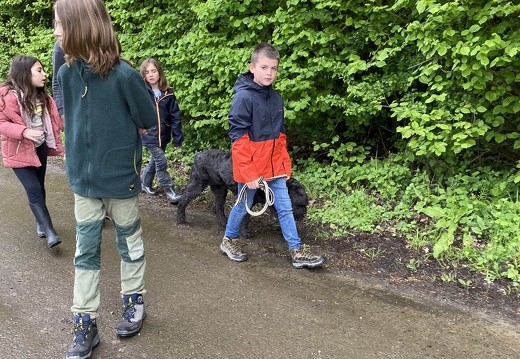 Stage mai 2023, les enfants et les chiens