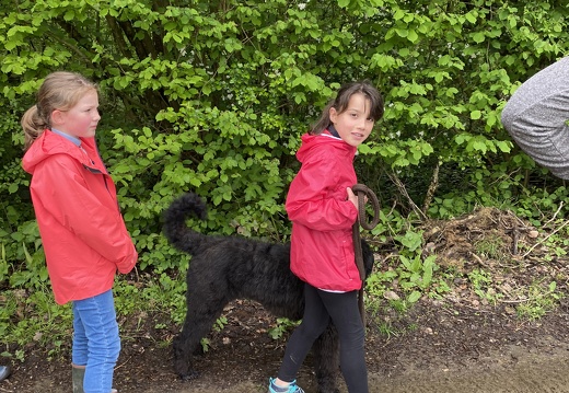 Stage mai 2023, les enfants et les chiens
