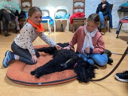 Stage mai 2023, les enfants et les chiens