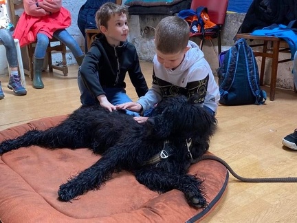 Stage mai 2023, les enfants et les chiens