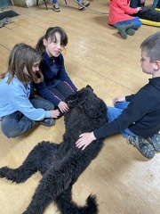 Stage mai 2023, les enfants et les chiens