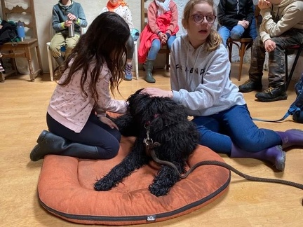 Stage mai 2023, les enfants et les chiens