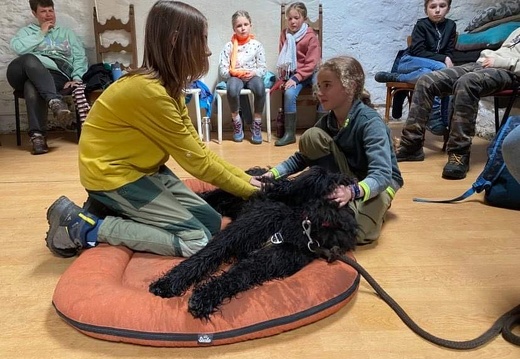 Stage mai 2023, les enfants et les chiens