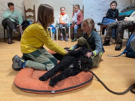 Stage mai 2023, les enfants et les chiens