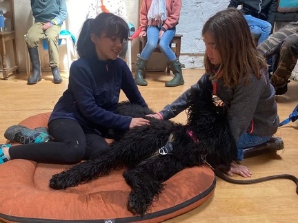 Stage mai 2023, les enfants et les chiens