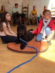 Stage mai 2023, les enfants et les chiens