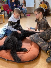 Stage mai 2023, les enfants et les chiens