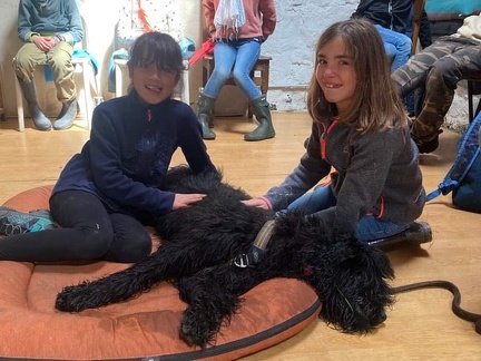 Stage mai 2023, les enfants et les chiens