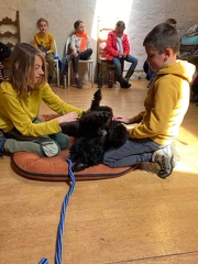 Stage mai 2023, les enfants et les chiens