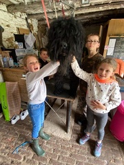 Stage mai 2023, les enfants et les chiens