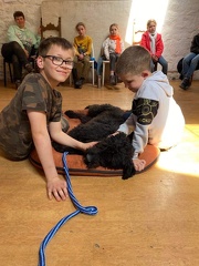 Stage mai 2023, les enfants et les chiens