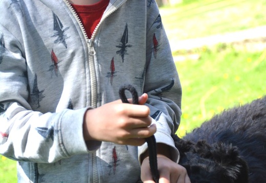 46-2025-photo-chien-enfant