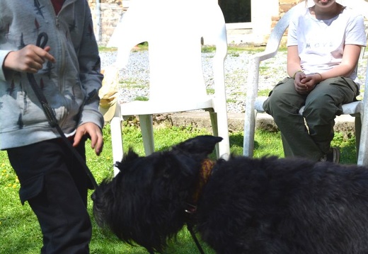 52-2025-photo-chien-enfant