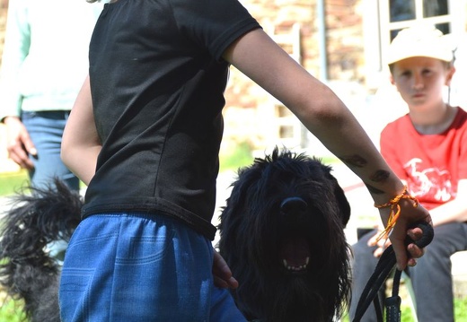 83-2025-photo-chien-enfant