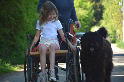 145-2025-photo-chien-enfant