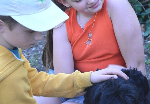 155-2025-photo-chien-enfant