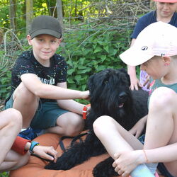 Stage printemps 2025