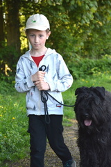 17-2025-photo-chien-enfant