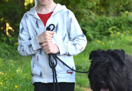 17-2025-photo-chien-enfant