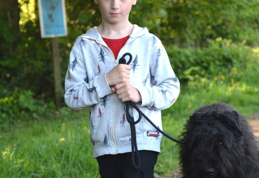 15-2025-photo-chien-enfant
