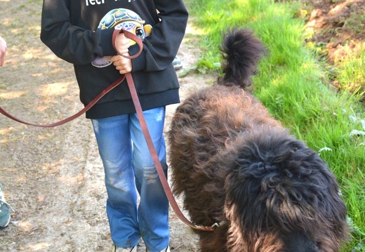 21-2025-photo-chien-enfant