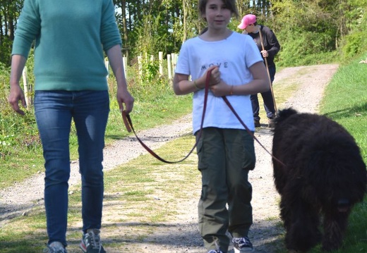 22-2025-photo-chien-enfant